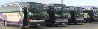 Autosgonzalez.es
